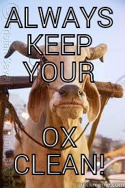 MAD OX - ALWAYS KEEP YOUR OX CLEAN! Misc