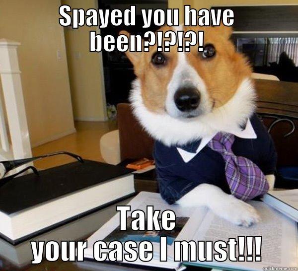 SPAYED YOU HAVE BEEN?!?!?! TAKE YOUR CASE I MUST!!! Lawyer Dog