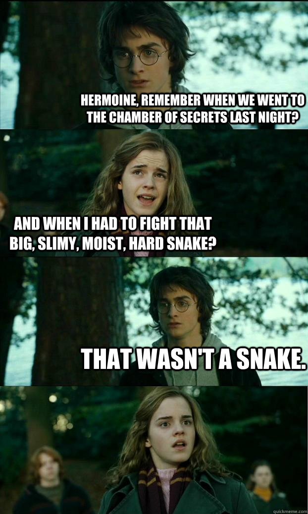 Hermoine, remember when we went to the chamber of secrets last night? And when I had to fight that big, slimy, moist, hard snake? That wasn't a snake. - Hermoine, remember when we went to the chamber of secrets last night? And when I had to fight that big, slimy, moist, hard snake? That wasn't a snake.  Horny Harry