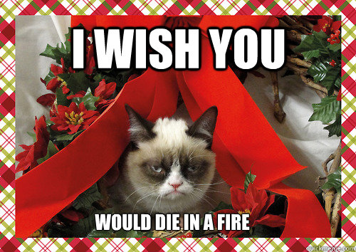 i wish you would die in a fire - i wish you would die in a fire  merry christmas