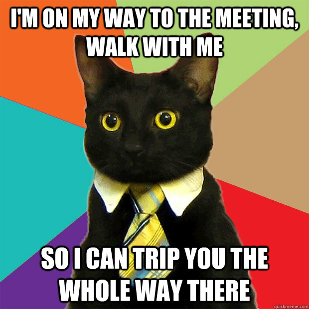 i'm on my way to the meeting, walk with me so i can trip you the whole way there  Business Cat