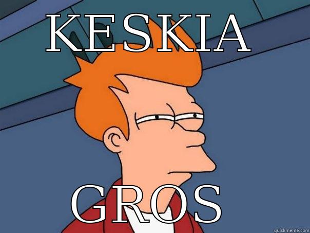 KESKIA GROS Futurama Fry