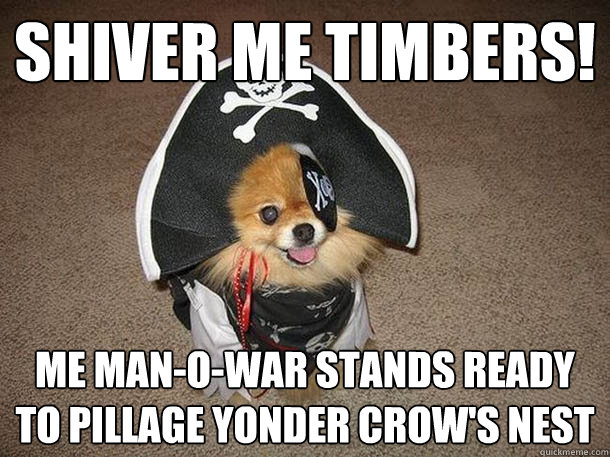 Shiver me timbers! Me man-o-war stands ready to pillage yonder crow's nest - Shiver me timbers! Me man-o-war stands ready to pillage yonder crow's nest  Inappropriate Sexual Innuendo Dog That Talks and Dresses Like a Pirate