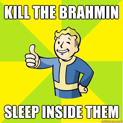 Kill the Brahmin Sleep inside them  Fallout new vegas