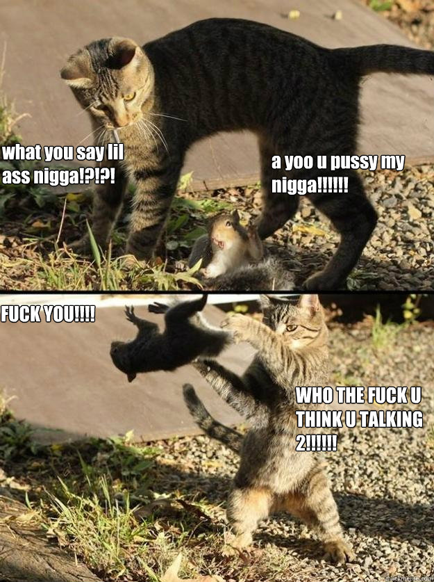 a yoo u pussy my nigga!!!!!! what you say lil ass nigga!?!?! FUCK YOU!!!! WHO THE FUCK U THINK U TALKING 2!!!!!!  Annoying Squirrel