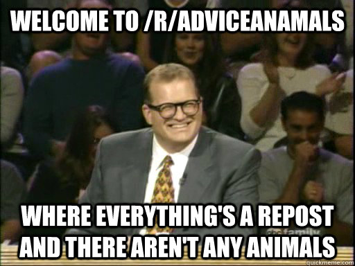 welcome to /r/adviceanamals where everything's a repost and there aren't any animals  