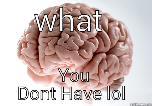 WHAT  YOU DONT HAVE LOL  Scumbag Brain