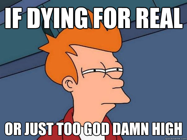 if dying for real or just too god damn high  Futurama Fry