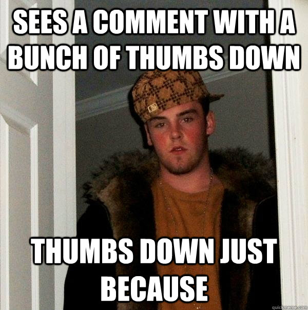 Sees a comment with a bunch of thumbs down thumbs down just because - Sees a comment with a bunch of thumbs down thumbs down just because  Scumbag Steve