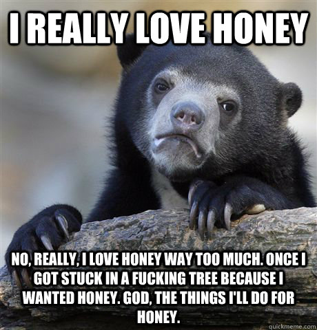 I really love honey no, really, i love honey way too much. once i got stuck in a fucking tree because i wanted honey. god, the things i'll do for honey. - I really love honey no, really, i love honey way too much. once i got stuck in a fucking tree because i wanted honey. god, the things i'll do for honey.  Confession Bear