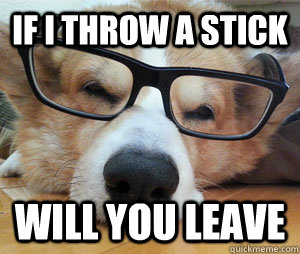 if I throw a stick will you leave  smartass dog