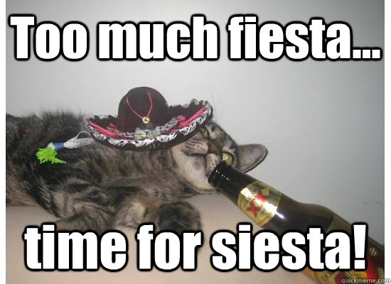 Too much fiesta... time for siesta! - Too much fiesta... time for siesta!  kitty party