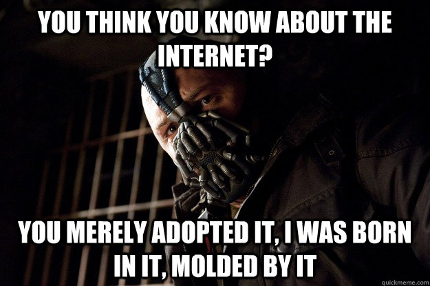 you think you know about the internet? you merely adopted it, i was born in it, molded by it  Angry Bane