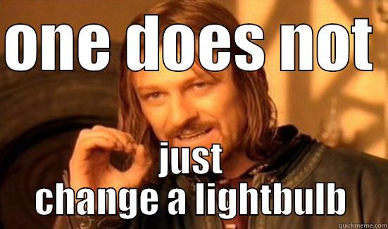 ONE DOES NOT  JUST CHANGE A LIGHTBULB Boromir