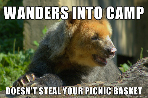 Wanders into camp Doesn't steal your picnic basket  