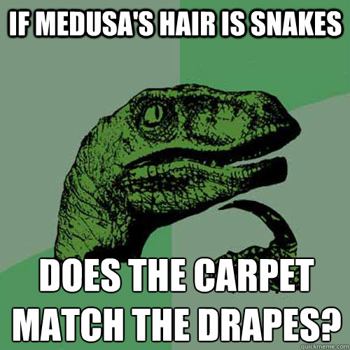 If Medusa's hair is snakes does the carpet match the drapes?
  Philosoraptor