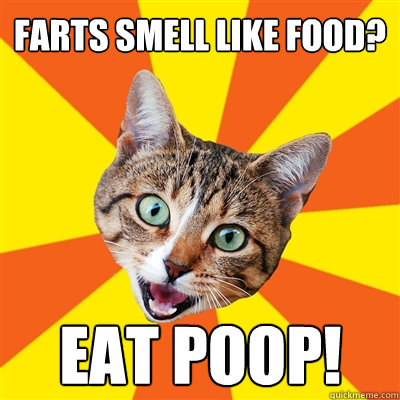 Farts smell like food? eat poop!  Bad Advice Cat