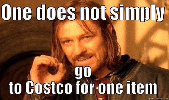 One does not somply go to Costco - ONE DOES NOT SIMPLY  GO TO COSTCO FOR ONE ITEM One Does Not Simply