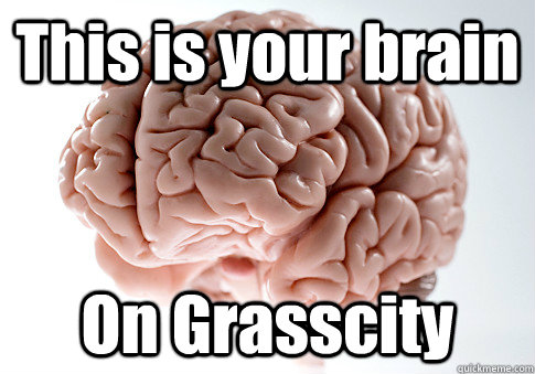 This is your brain On Grasscity   Scumbag Brain