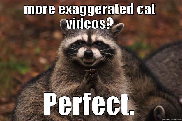 oh noes! - MORE EXAGGERATED CAT VIDEOS? PERFECT. Evil Plotting Raccoon