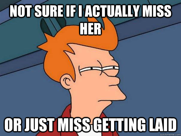 Not sure if i actually miss her Or just miss getting laid  Futurama Fry