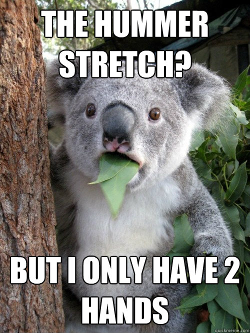 The Hummer Stretch? But I only have 2 hands  koala bear