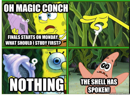 Oh Magic Conch NOTHING The SHELL HAS SPOKEN! Finals starts on monday, what should I study first?  Magic Conch Shell