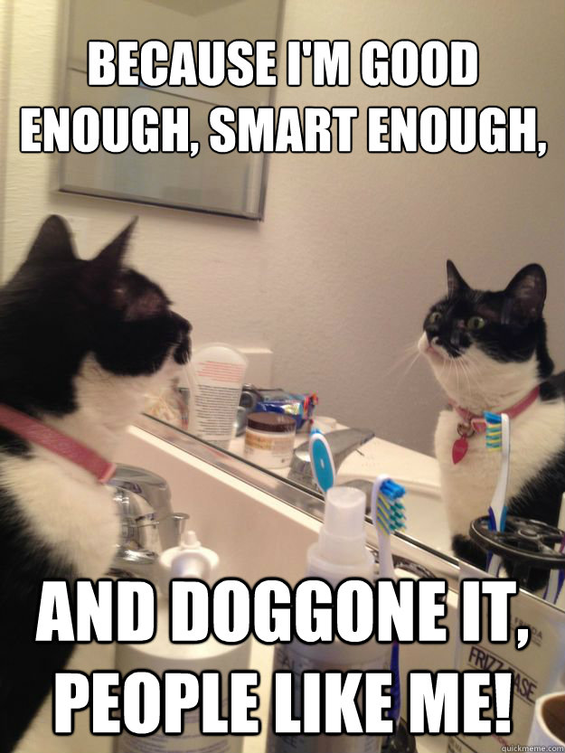 Because I'm good enough, smart enough, and doggone it, people like me! - Because I'm good enough, smart enough, and doggone it, people like me!  Self Help Cat