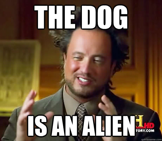 The dog is an alien - The dog is an alien  Ancient Aliens