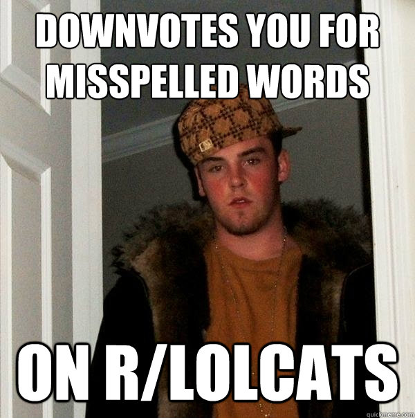 Downvotes you for misspelled words on r/lolcats  Scumbag Steve