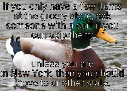 Munchy Run - IF YOU ONLY HAVE A FEW ITEMS AT THE GRCERY STORE, ASK SOMEONE WITH A CART IF YOU CAN SKIP THEM; UNLESS YOU ARE IN NEW YORK, THEN YOU SHOULD MOVE TO ANOTHER STATE. Actual Advice Mallard