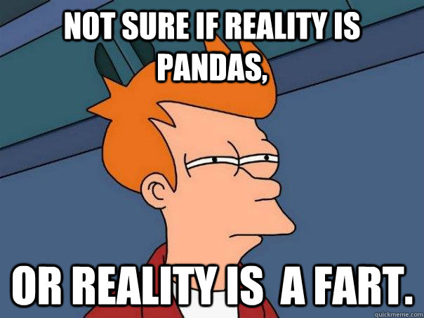 Not sure if reality is pandas,  Or reality is  a fart.  Futurama Fry