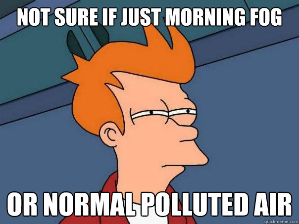 not sure if just morning fog or normal polluted air  Futurama Fry