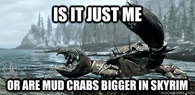 is it just me  or are mud crabs bigger in skyrim - is it just me  or are mud crabs bigger in skyrim  goddamn mudcrabs