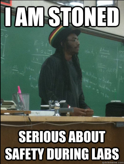 I am stoned serious about safety during labs  Rasta Science Teacher