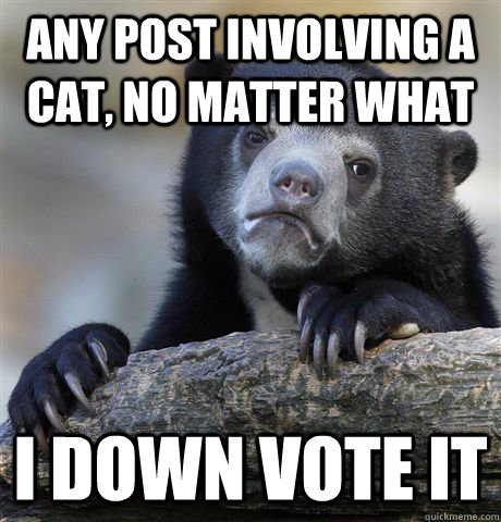 Any post involving a cat, no matter what I down vote it   Confession Bear