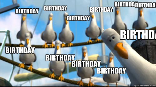 birthday birthday birthday birthday birthday birthday birthday birthday birthday birthday birthday  Nemo Seagulls