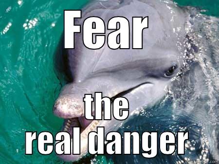 Bad dolphin - FEAR THE REAL DANGER Misc