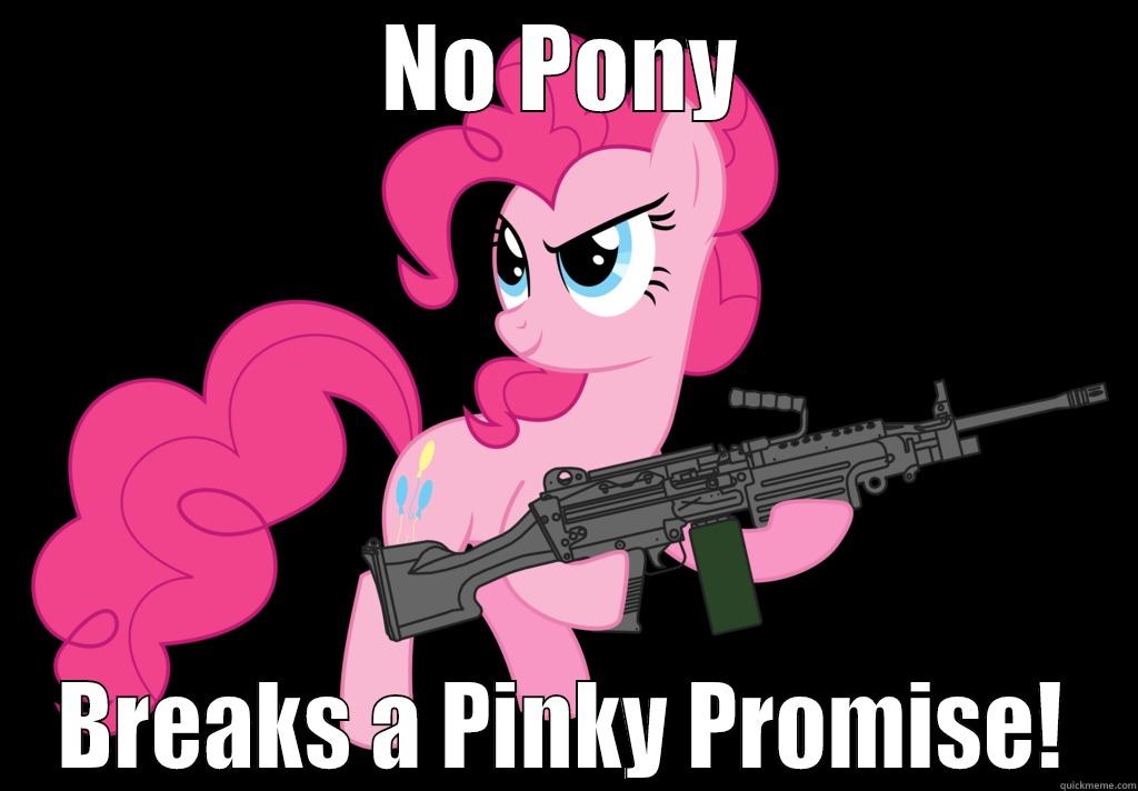 NO PONY BREAKS A PINKY PROMISE! Misc