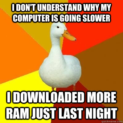 I don't understand why my computer is going slower i downloaded more ram just last night  Tech Impaired Duck