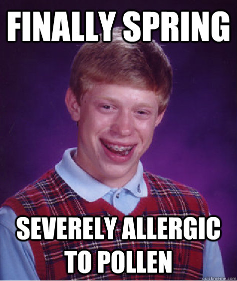 Finally spring severely allergic to pollen - Finally spring severely allergic to pollen  Bad Luck Brian