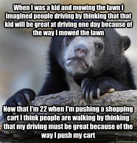 When I was a kid and mowing the lawn I imagined people driving by thinking that that kid will be great at driving one day because of the way I mowed the lawn Now that I'm 22 when I'm pushing a shopping cart I think people are walking by thinking that my d  Confession Bear