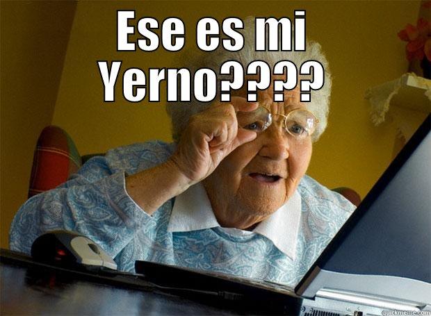 ESE ES MI YERNO????  Grandma finds the Internet