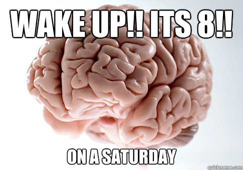 WAKE UP!! ITS 8!! on a saturday  Scumbag Brain