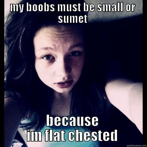 MY BOOBS MUST BE SMALL OR SUMET BECAUSE IM FLAT CHESTED Misc