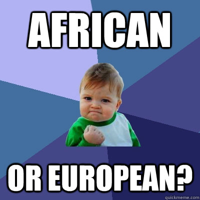 African or European? - African or European?  Success Kid