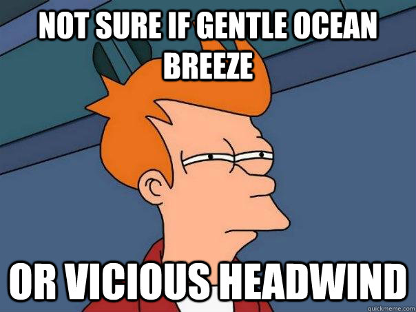 Not sure if gentle ocean breeze Or vicious headwind   Futurama Fry