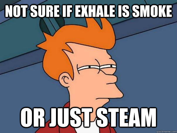 Not sure if exhale is smoke Or just steam  Futurama Fry