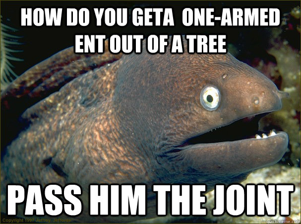 how do you geta  one-armed ent out of a tree pass him the joint  Bad Joke Eel