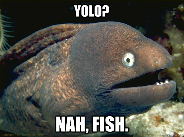 YOLO? Nah, FISH.   